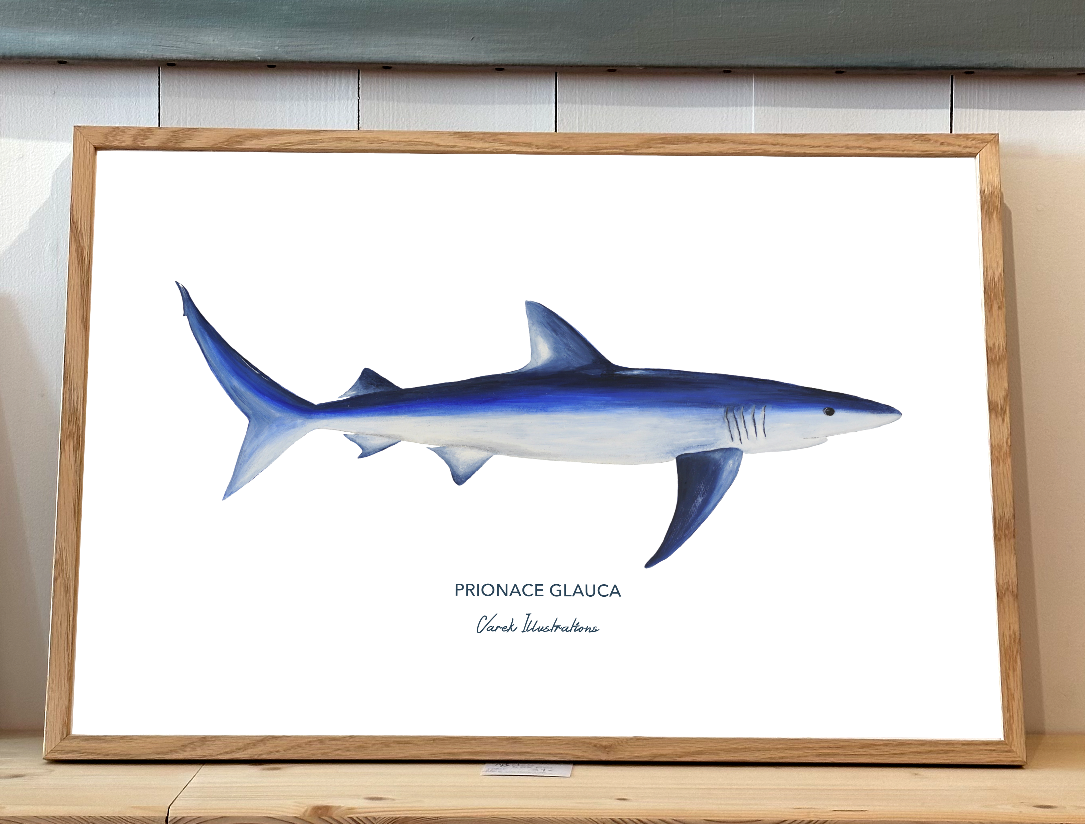 Affiche Le Requin Peau Bleue - Papier d'art en 250gr 🌱